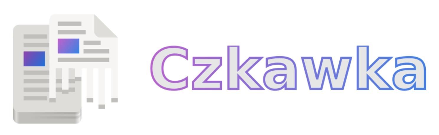 윈도우에서 중복 파일, 빈 폴더, 대용량 파일을 찾고 삭제하는 유용한 프로그램 추천 czkawka