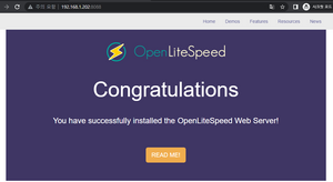 Ubuntu에서 OLS(OpenLiteSpeed) 웹서버 설치하기.